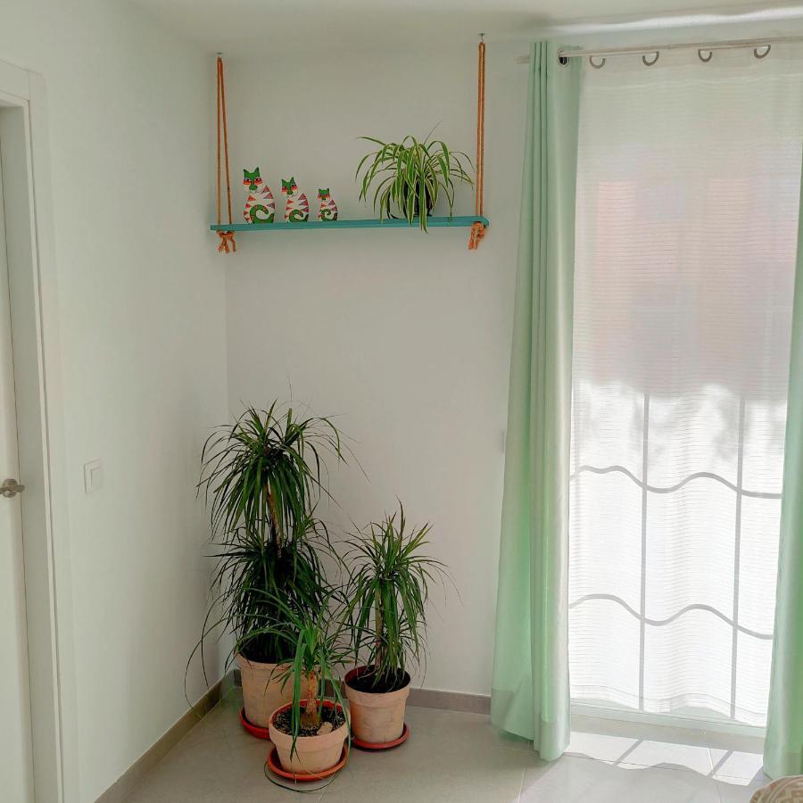 Apartament Casa Edrada Cheste Zewnętrze zdjęcie